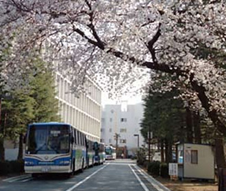 手前左の建物が中学校舎