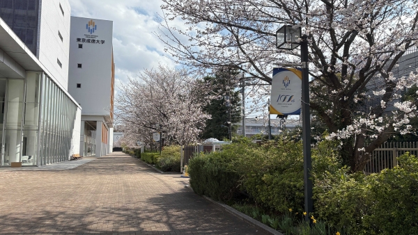 100周年装飾 場所：東京成徳大学・東京成徳短期大学