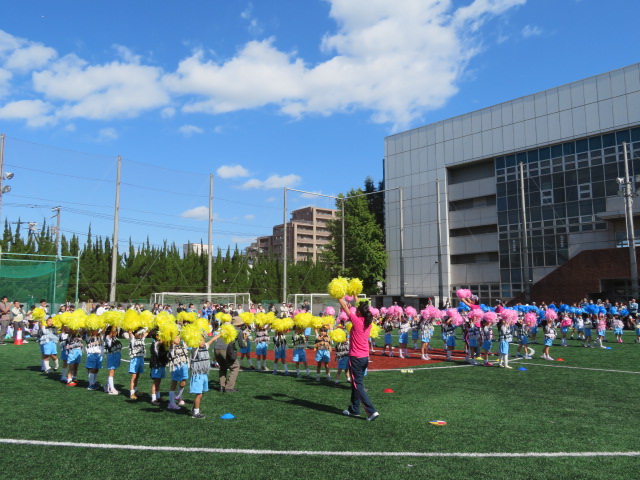 20241024-170700-185.JPG