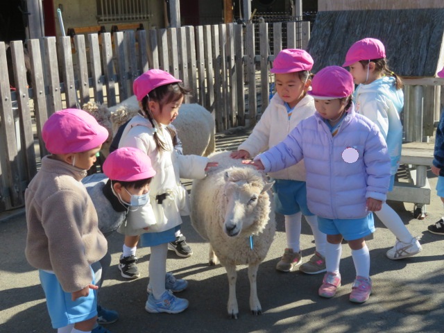 20241213-154245-277.JPG