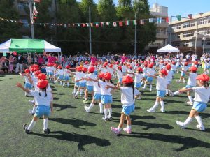 最新のお知らせ 東京成徳短期大学附属幼稚園